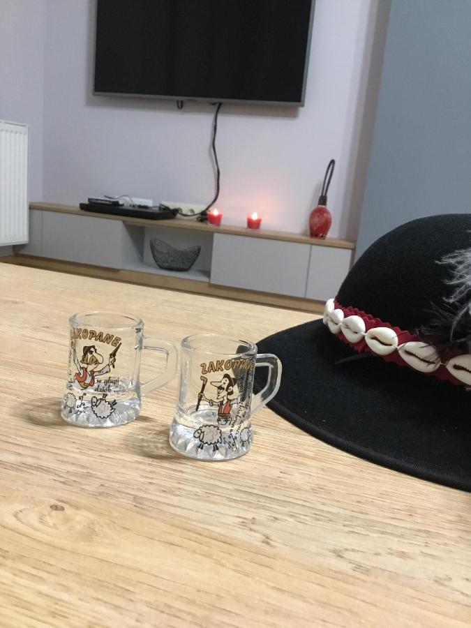 Apartament Aleksander Zakopane Kültér fotó